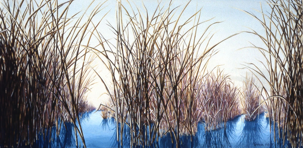 March Marsh