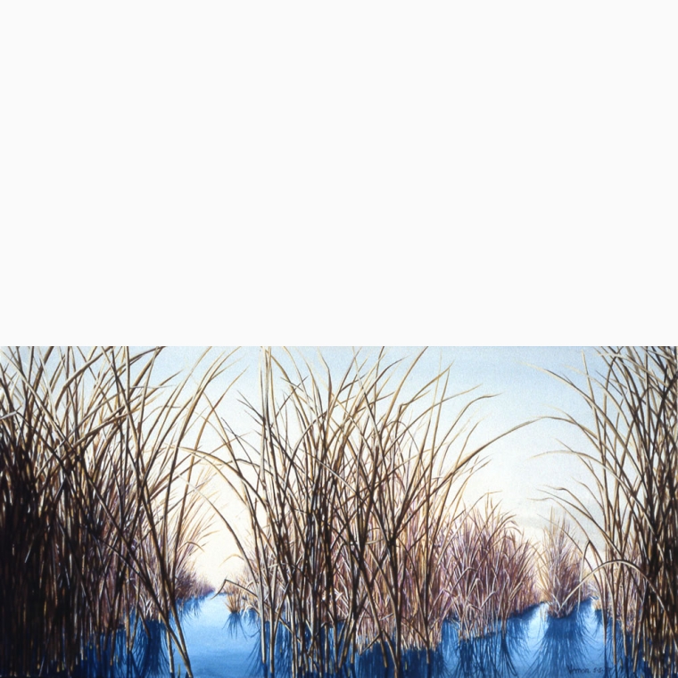 March Marsh