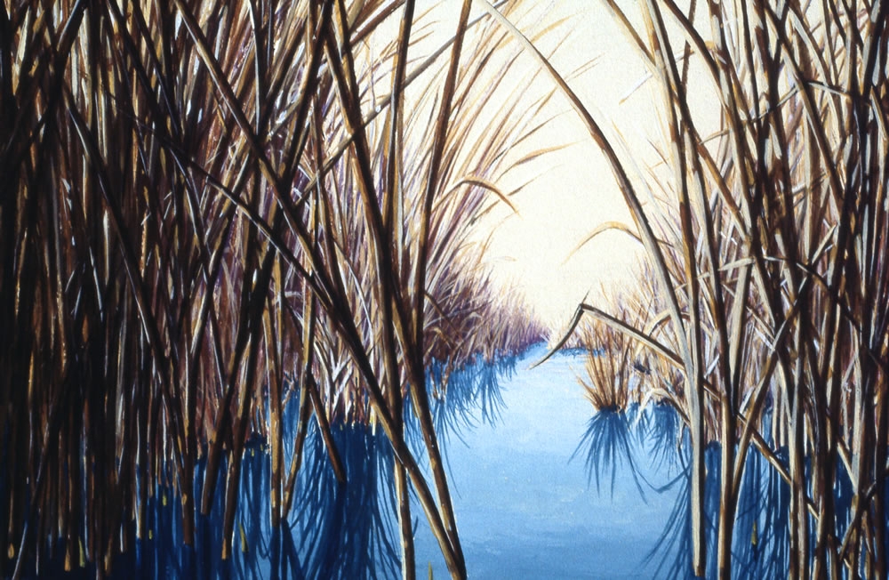 March Marsh - Detail